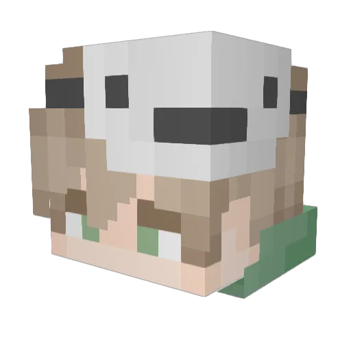 BlossomRyn Minecraft avatar head, 3D render