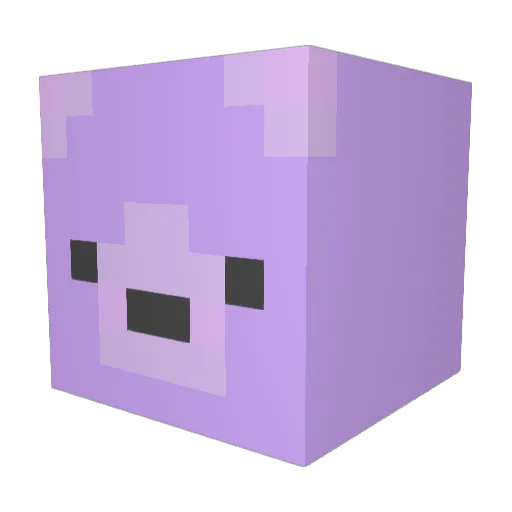 Blossomzz Minecraft avatar head, 3D render