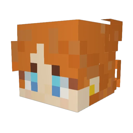 Blosxion Minecraft avatar head, 3D render