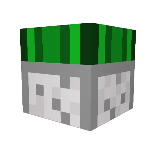 Blott69 Minecraft avatar head, 3D render
