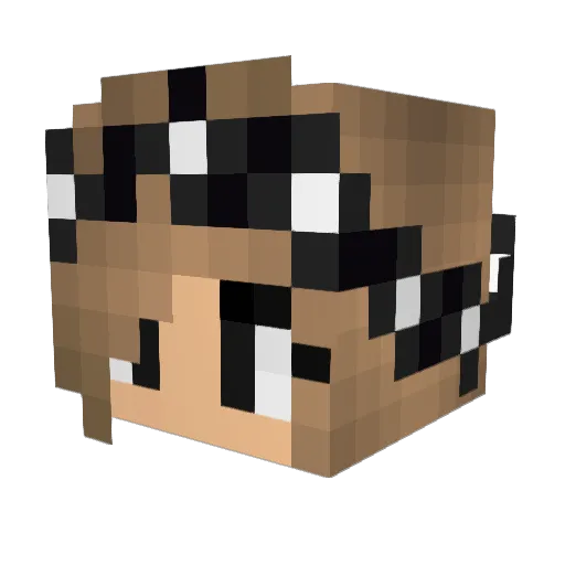 Bloxer6 Minecraft avatar head, 3D render