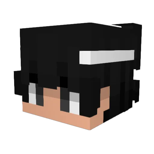 Bloxgamer08 Minecraft avatar head, 3D render