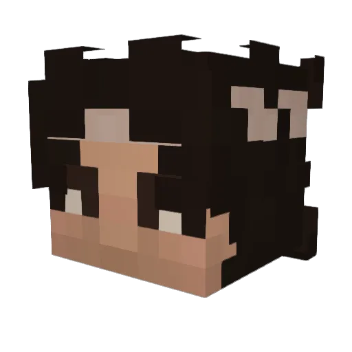 Bloxxerboy3009 Minecraft avatar head, 3D render