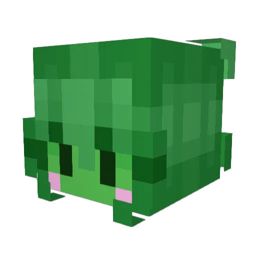Bloxzs Minecraft avatar head, 3D render