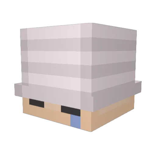 Blqckss Minecraft avatar head, 3D render