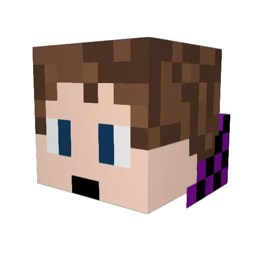 BluBay7 Minecraft avatar head, 3D render
