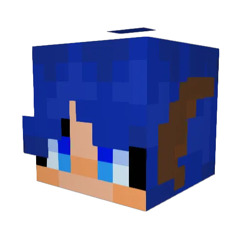 BluBerry268 Minecraft avatar head, 3D render