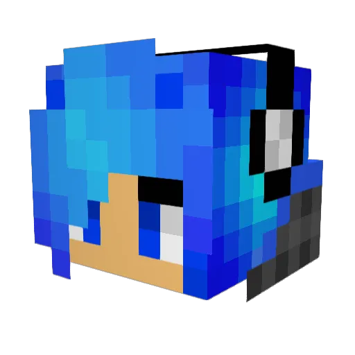 BluFox13 Minecraft avatar head, 3D render
