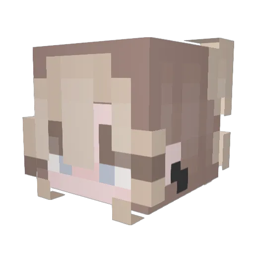 BluGoku Minecraft avatar head, 3D render