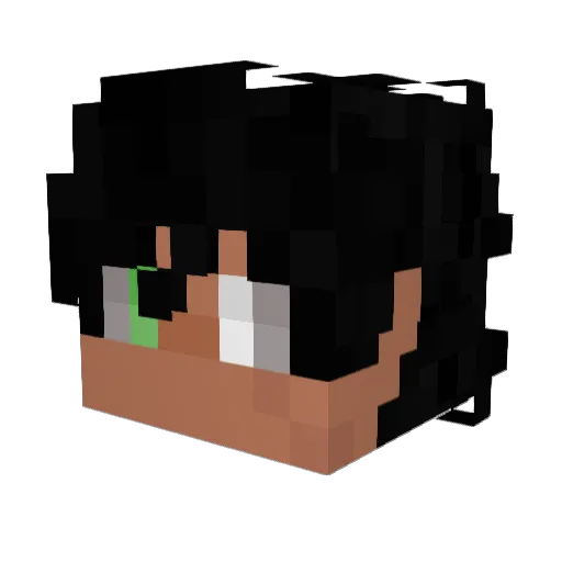 BluRaccooon Minecraft avatar head, 3D render