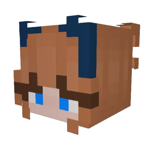 BluTurtles Minecraft avatar head, 3D render
