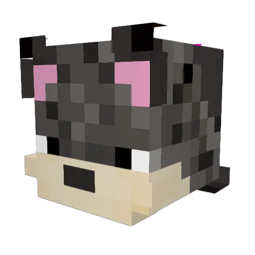 Blu_Bird97 Minecraft avatar head, 3D render
