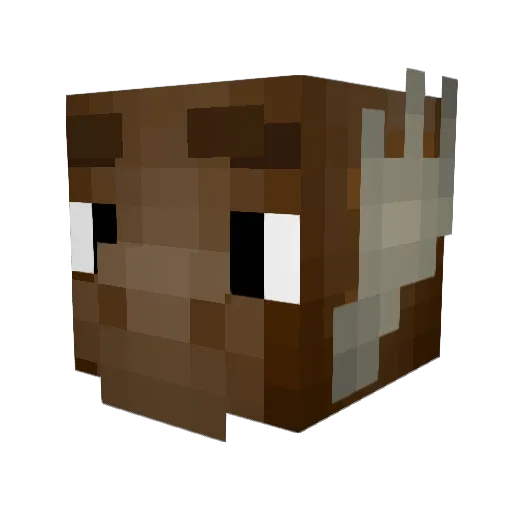 Blu_Maple Minecraft avatar head, 3D render