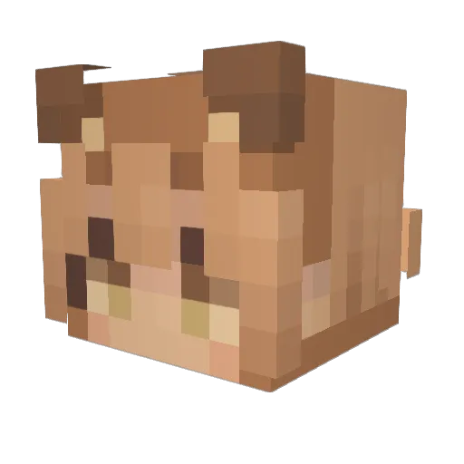 Blubbels Minecraft avatar head, 3D render