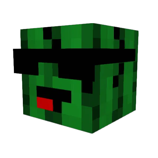 Blubber40 Minecraft avatar head, 3D render