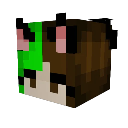 BlubblMCblubb Minecraft avatar head, 3D render