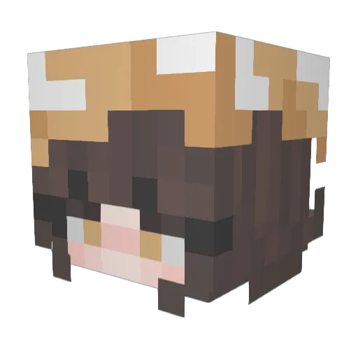 Blubby_bubss Minecraft avatar head, 3D render