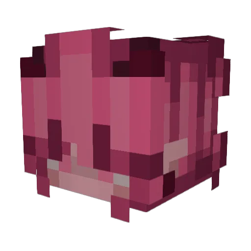 Blubial Minecraft avatar head, 3D render
