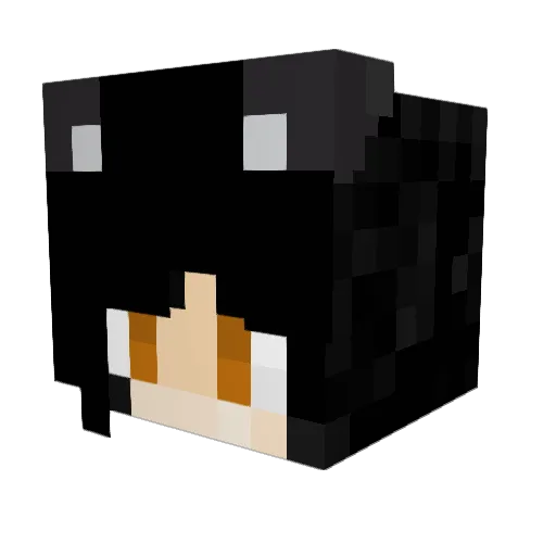 Blublod Minecraft avatar head, 3D render