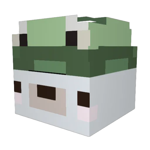 Bluboop Minecraft avatar head, 3D render