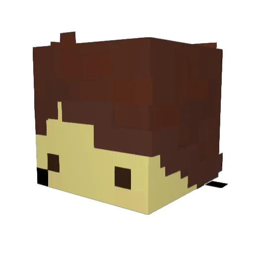 Blubryizzy Minecraft avatar head, 3D render