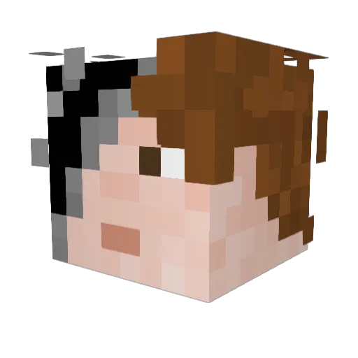 Blubvis Minecraft avatar head, 3D render