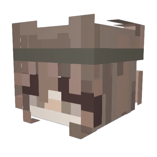Blubzyy Minecraft avatar head, 3D render