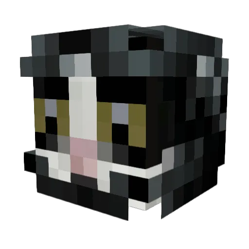 Blud_cat Minecraft avatar head, 3D render