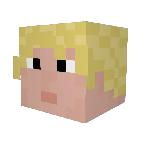 Bludbug Minecraft avatar head, 3D render