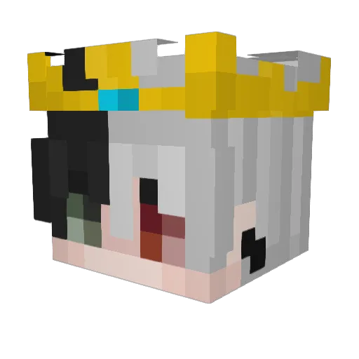 Bludermite15 Minecraft avatar head, 3D render