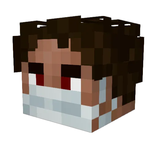 Bludimir_Blud Minecraft avatar head, 3D render