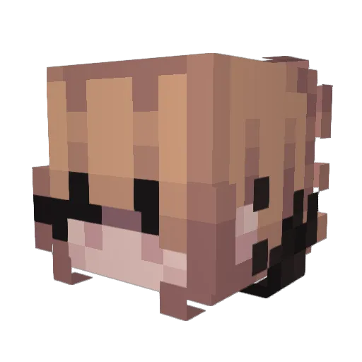 Bludix_ Minecraft avatar head, 3D render