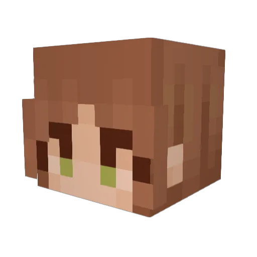 Blue14317 Minecraft avatar head, 3D render