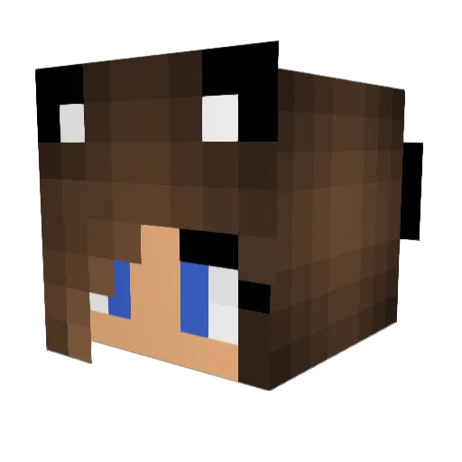 Blue1825 Minecraft avatar head, 3D render
