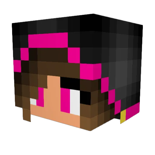 Blue2878 Minecraft avatar head, 3D render