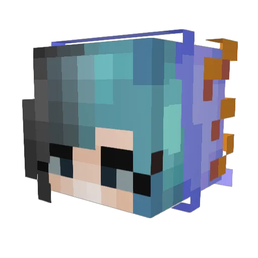 Blue881 Minecraft avatar head, 3D render