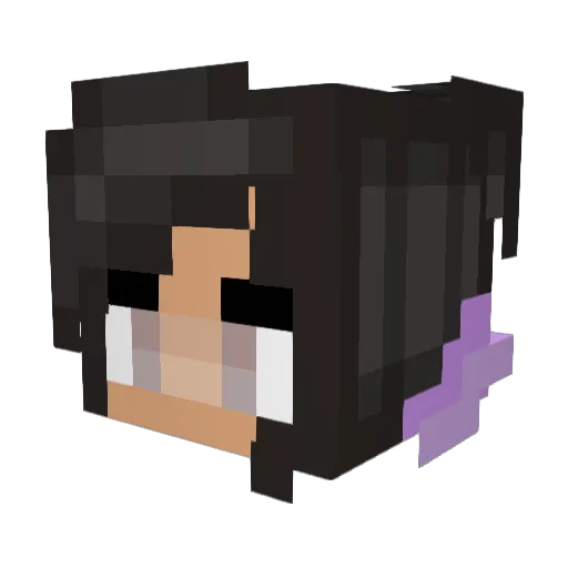 BlueAce8401 Minecraft avatar head, 3D render