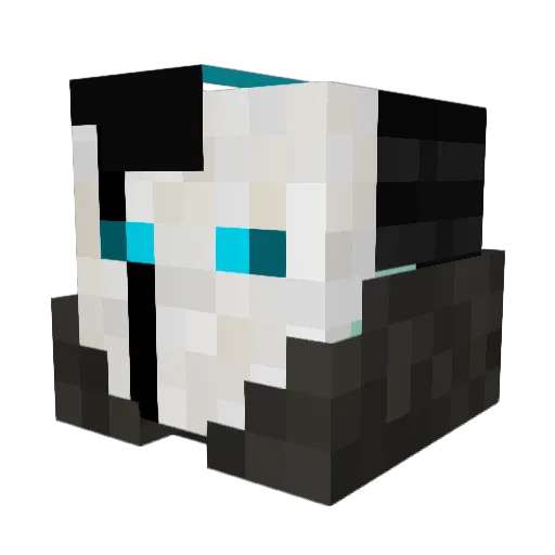 BlueAura89 Minecraft avatar head, 3D render