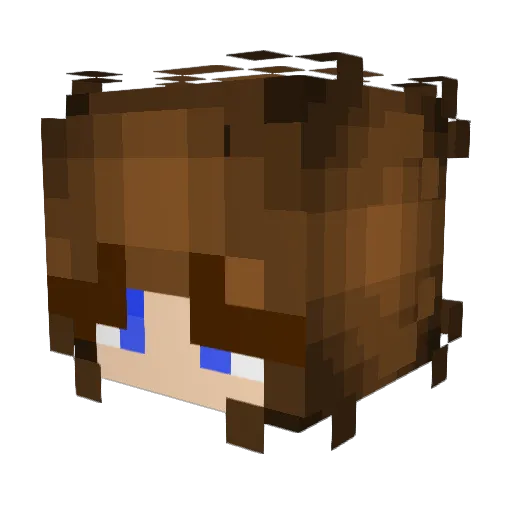BlueBear5555555 Minecraft avatar head, 3D render