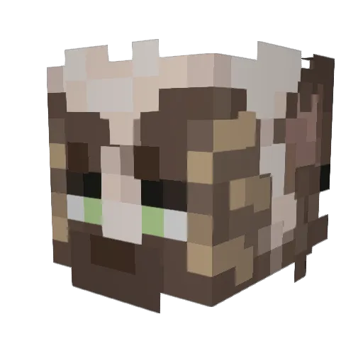 BlueBerryKitsune Minecraft avatar head, 3D render
