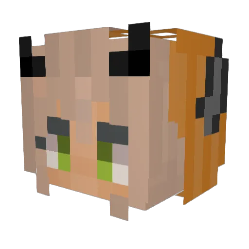 BlueBird_1234 Minecraft avatar head, 3D render