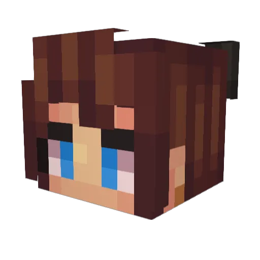 BlueBlaze133 Minecraft avatar head, 3D render
