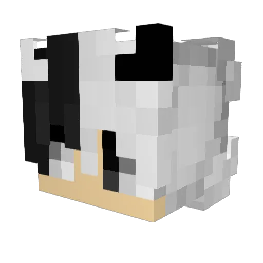 BlueBoar471 Minecraft avatar head, 3D render