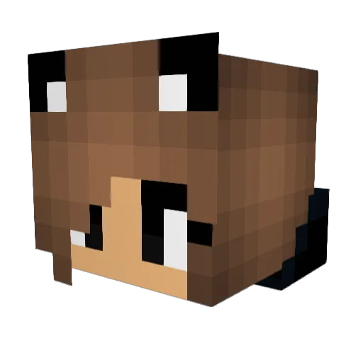 BlueBracelet821 Minecraft avatar head, 3D render