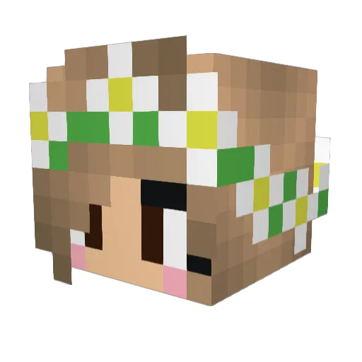 BlueBunny593 Minecraft avatar head, 3D render