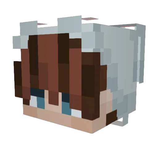 BlueBurryBoi Minecraft avatar head, 3D render