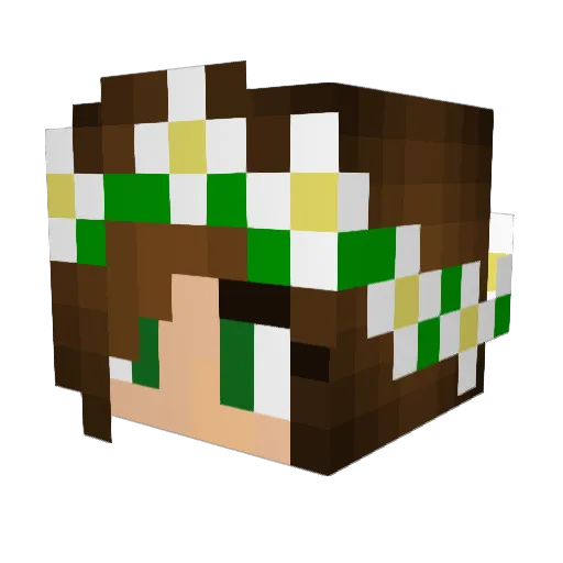 BlueButterfly111 Minecraft avatar head, 3D render
