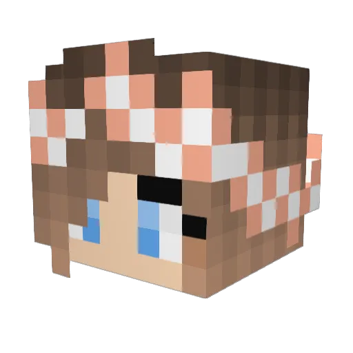 BlueDolphin2001 Minecraft avatar head, 3D render