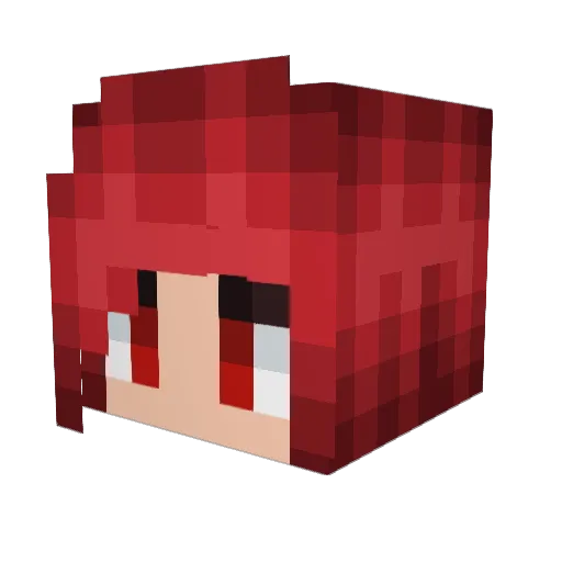 BlueDolphinGirls Minecraft avatar head, 3D render