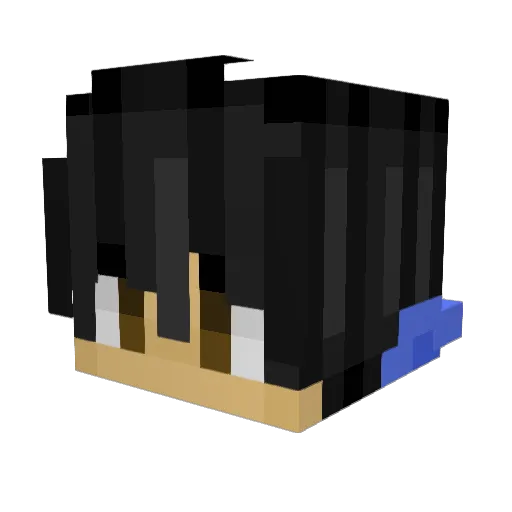 BlueDragonEye111 Minecraft avatar head, 3D render